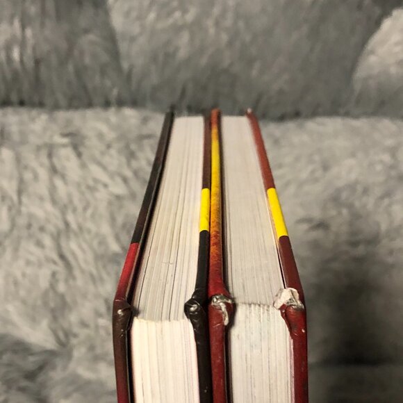 Dog Man Hardcover Books Dav Pilkey Graphic Novel Set Series Scholastic Lot of 2 - Picture 8 of 8